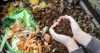 Quy trình ủ mùn compost từ rác thải hữu cơ