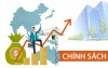 Bãi bỏ chính sách hỗ trợ đối với người nghỉ hưu trước tuổi khi tinh gọn bộ máy trên địa bàn tỉnh